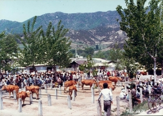 농축산