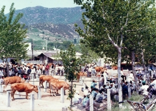 농축산