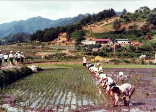 농축산