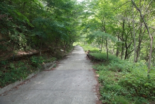 장령산휴양림
