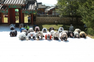청산 향교 추계 석전제 61번째 사진