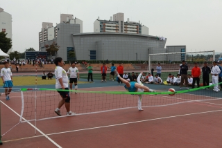 제37회 옥천군민체육대회 115번째 사진