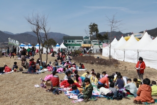 묘목축제 둘째날 14번째 사진