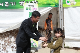 묘목축제 둘째날 15번째 사진