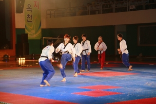 제38회 중봉충렬제（세계태권도연맹 시범단 시연） 7번째 사진