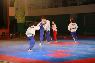 제38회 중봉충렬제（세계태권도연맹 시범단 시연） 9번째 사진