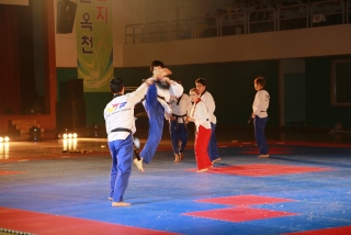 제38회 중봉충렬제（세계태권도연맹 시범단 시연） 10번째 사진