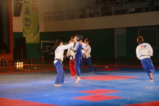 제38회 중봉충렬제（세계태권도연맹 시범단 시연） 11번째 사진