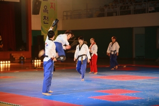 제38회 중봉충렬제（세계태권도연맹 시범단 시연） 14번째 사진