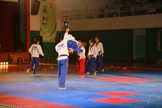 제38회 중봉충렬제（세계태권도연맹 시범단 시연） 15번째 사진