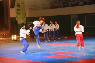 제38회 중봉충렬제（세계태권도연맹 시범단 시연） 16번째 사진