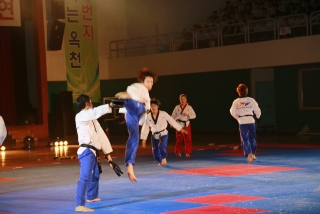 제38회 중봉충렬제（세계태권도연맹 시범단 시연） 18번째 사진
