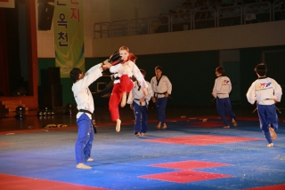 제38회 중봉충렬제（세계태권도연맹 시범단 시연） 20번째 사진