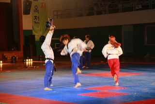 제38회 중봉충렬제（세계태권도연맹 시범단 시연） 21번째 사진