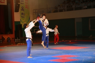 제38회 중봉충렬제（세계태권도연맹 시범단 시연） 23번째 사진