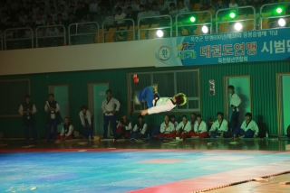 제38회 중봉충렬제（세계태권도연맹 시범단 시연） 26번째 사진