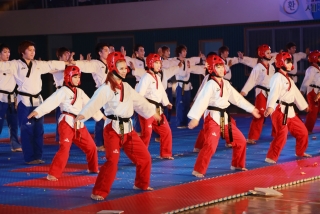 제38회 중봉충렬제（세계태권도연맹 시범단 시연） 29번째 사진