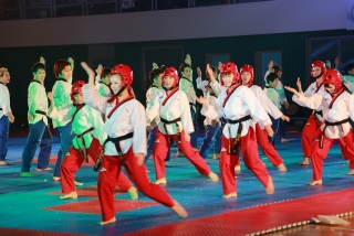 제38회 중봉충렬제（세계태권도연맹 시범단 시연） 30번째 사진
