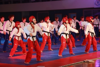 제38회 중봉충렬제（세계태권도연맹 시범단 시연） 31번째 사진