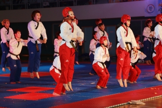 제38회 중봉충렬제（세계태권도연맹 시범단 시연） 34번째 사진