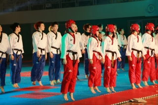 제38회 중봉충렬제（세계태권도연맹 시범단 시연） 38번째 사진