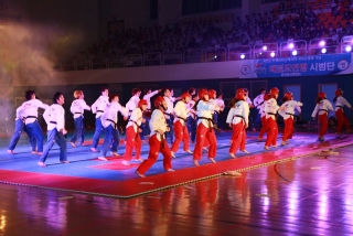 제38회 중봉충렬제（세계태권도연맹 시범단 시연） 39번째 사진