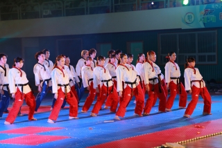 제38회 중봉충렬제（세계태권도연맹 시범단 시연） 42번째 사진