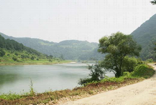 가덕리 풍경