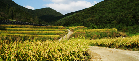 막지리풍경