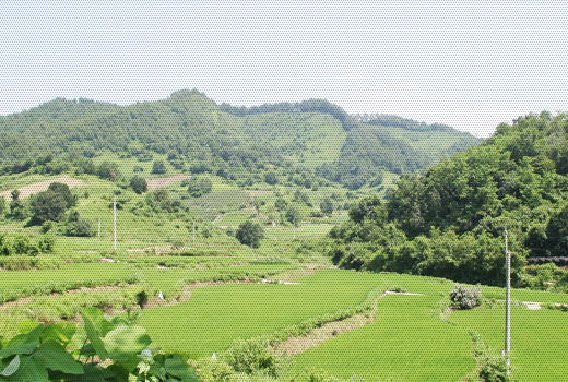 중봉조헌 신도비 사진