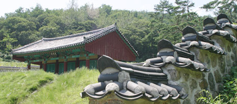 표충사근경 사진
