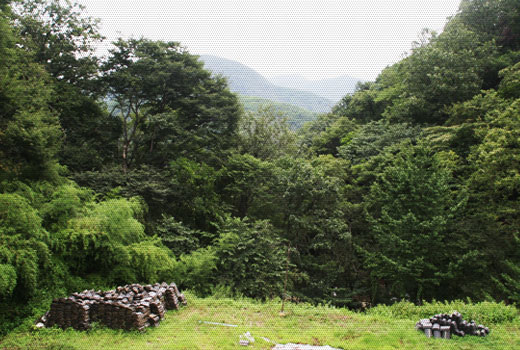 전우가 된 선비와 승려