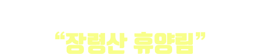 산골짜기 싶은 계곡 자연과 어울어진 '장령산 휴양림'