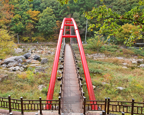 장령산자연휴양림 이미지4