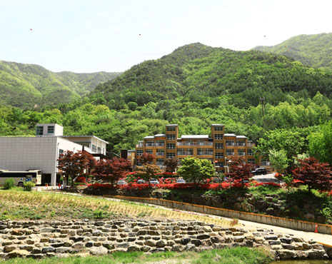 장령산자연휴양림 이미지6
