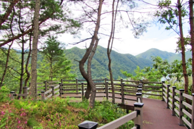 향수바람길(등산로)