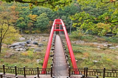 장령산 치유의 숲길