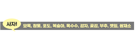 봄부터 겨울까지 풍부한 먹거리! 대청호반 청정 자연을 머금은 친환경 농산물~ 옥천에서 사세요! 사자! 묘목, 참옻, 포도, 복숭아, 옥수수, 감자, 곶감, 부추, 깻잎, 쌈채소  