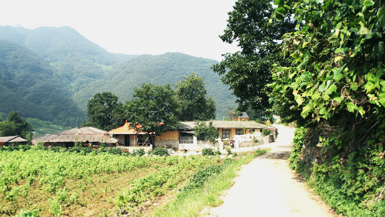 엘도라도라고 불리는 합금리 마을 사진