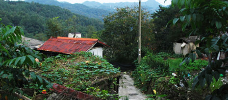 환평리 마을의 명소인 구멍가게 사진