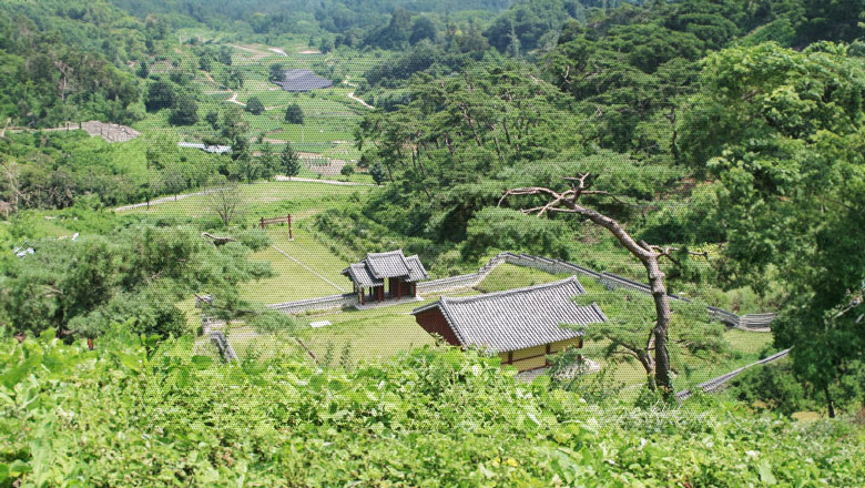 조혼선생의 묘소가 모셔져있는 표충사 사진