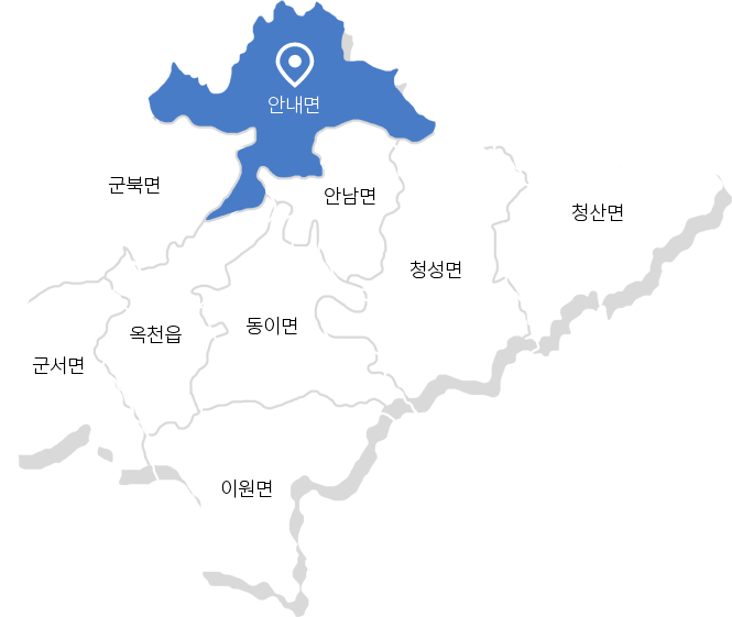 안내면