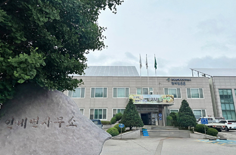 안내면